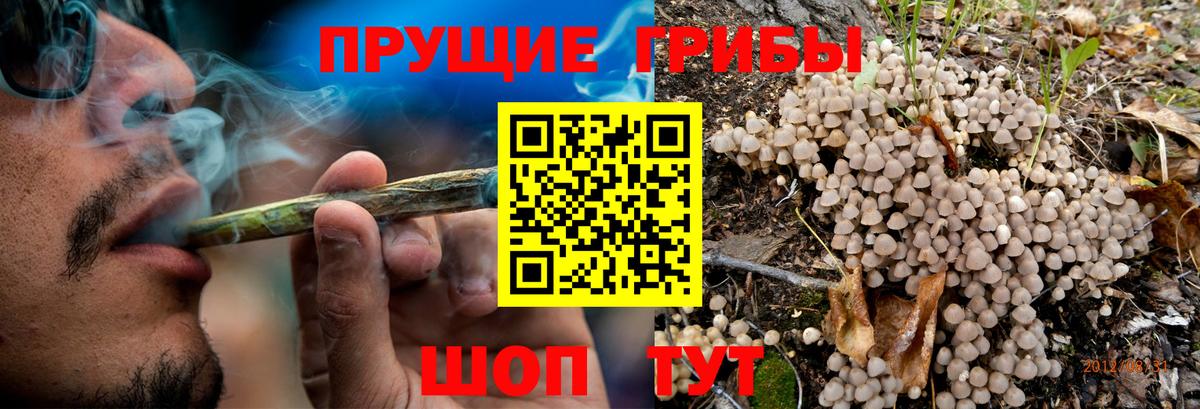 Междуреченск  Псилоцибиновые грибы ЛСД  Вход с VPN 